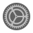 Customization Icon