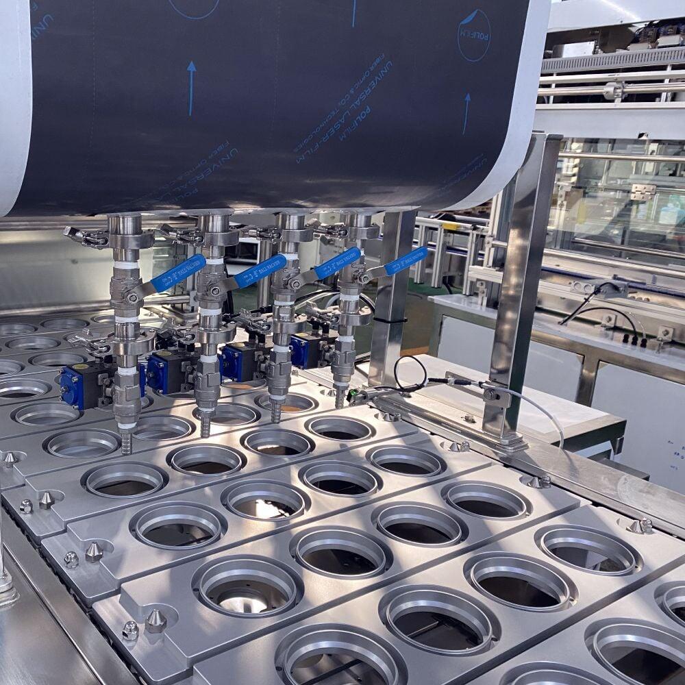 PH-22/66 conveyor sealing production line, side view
